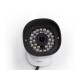 Camera IP HD exterieure infrarouge – POE, P2P, 1080p (H264), 2Mp – Foscam FI9900EP – Argent
